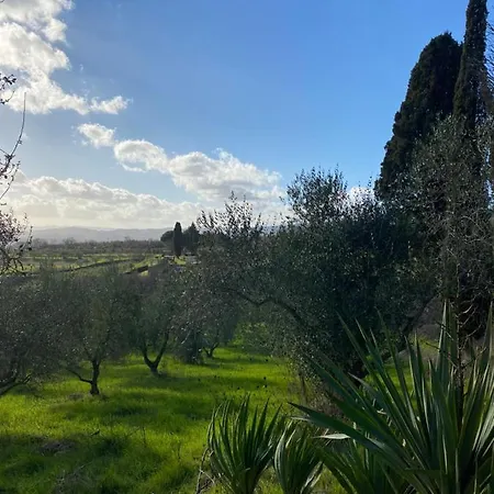 Agriturismo Casallario *