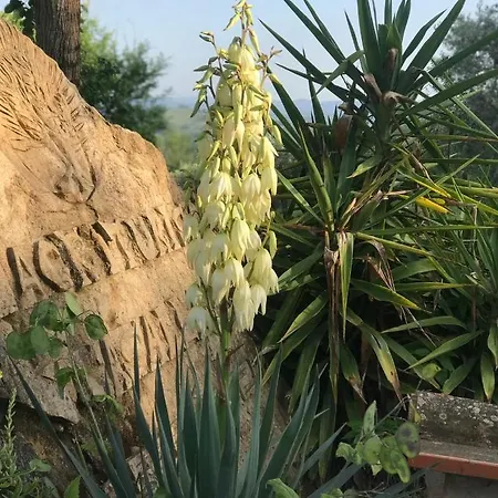 Agriturismo Casallario Volterra