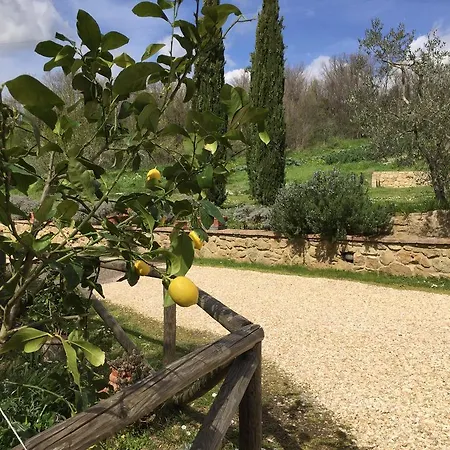 Casallario Volterra