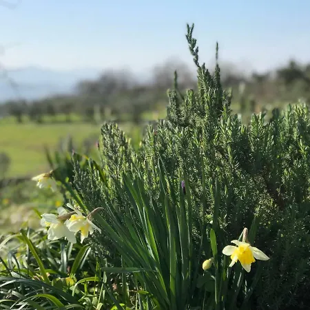 Casallario Farm stay